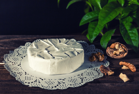 Camembert with noble white mold. Exquisite cheese.の写真素材