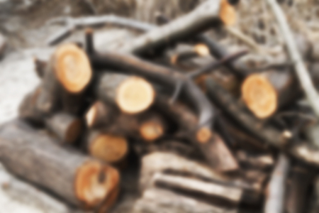 Blurred Background Pile Of Felled Logs. Lying on the Banks of the Woodの写真素材
