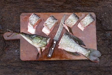 Closeup of Fresh fish pike in portions slices sliced with knifの写真素材