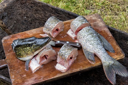 Closeup of Fresh fish pike in portions slices sliced with knifの写真素材