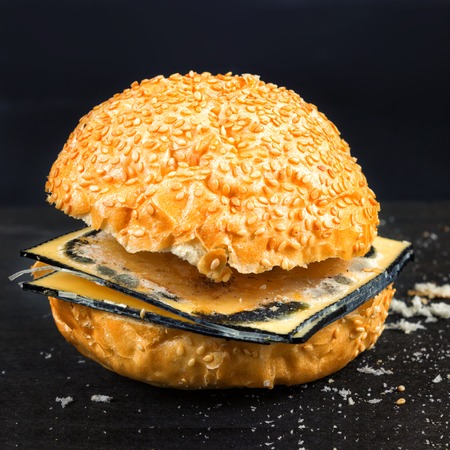 Expired Fast food. Bun for Burger and spoiled cheese. Harmful daの写真素材
