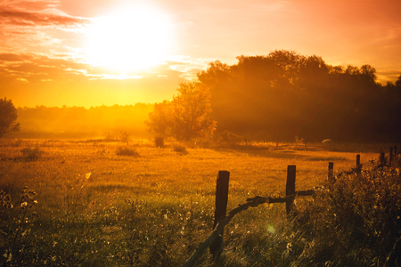 Beautiful sunset on the meadow. Evening for city. Abstract Nature Background. Relaxの写真素材