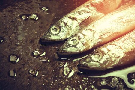 Seafood. Small sea fish on dark backgroundの写真素材