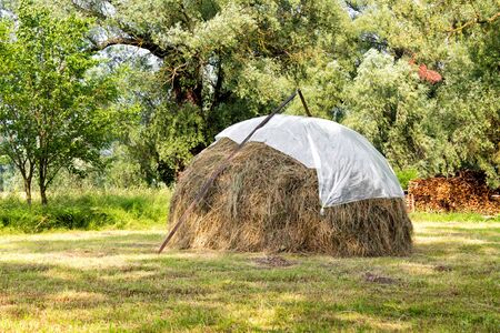 Traditional haystack in the meadow, harvested by farmers by hand. The summer harvest. Harvesting hay...