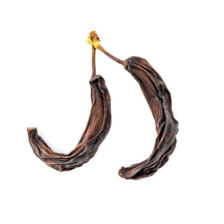 Two old dried bananas, dried, isolated on a white background. Spoiled fruitの写真素材