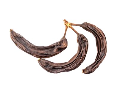 Old dried bananas, dried, isolated on a white background. Spoiled fruit.の写真素材