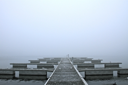 a bridge on a foggy autumn dayの写真素材