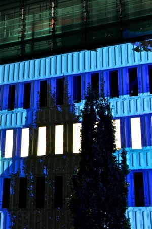 a building in the night meets color lightの写真素材