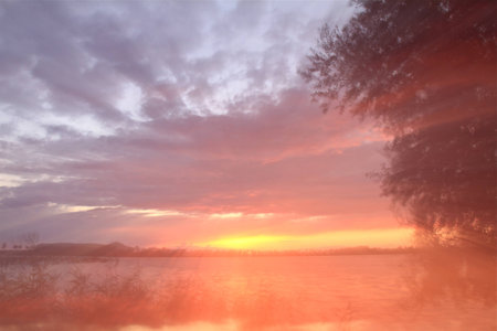 crazy light show meets photography of landscapeの写真素材