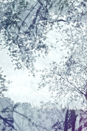 crazy light show meets photography of landscapeの写真素材