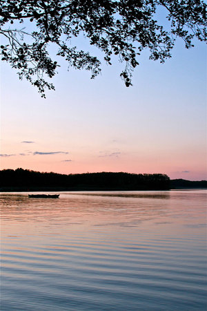 a lake bank in the sunset on a hot summer dayの写真素材