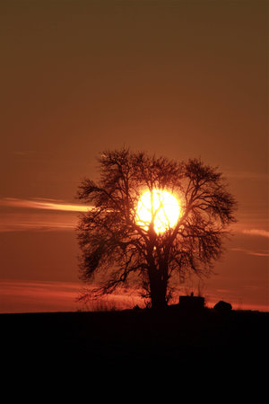 crazy light show meets photography of landscapeの写真素材
