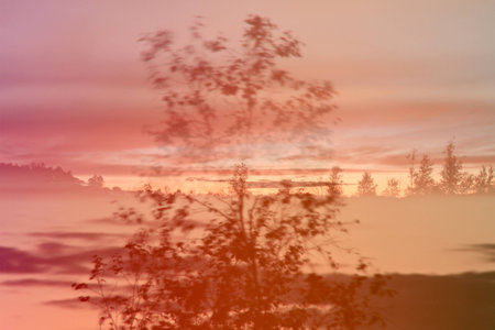 crazy light show meets photography of landscape
