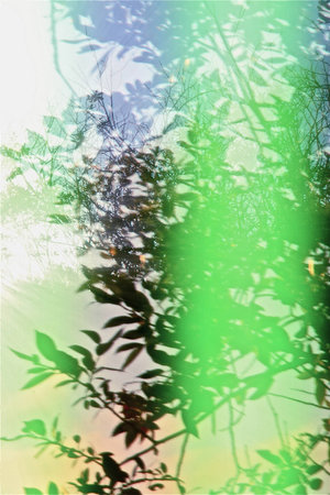 crazy light show meets photography of landscapeの写真素材