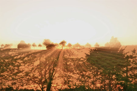 crazy light show meets photography of landscapeの写真素材