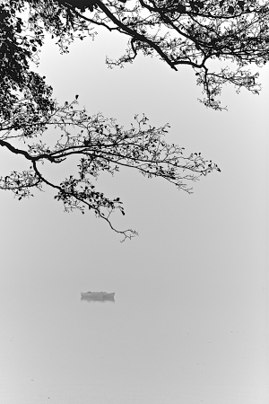 a lake on a foggy october morningの写真素材