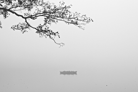 a lake on a foggy october morningの写真素材