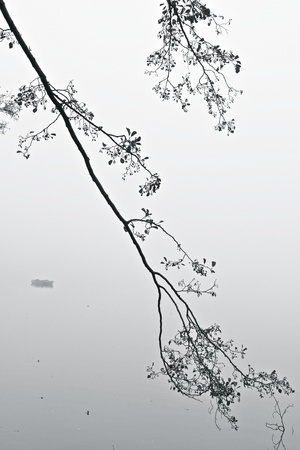 a lake on a foggy october morningの写真素材