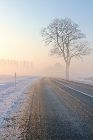 a winter landscape on a december morningの写真素材