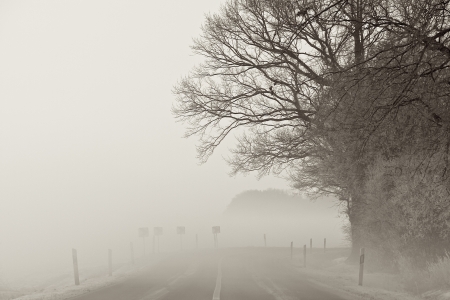a winter landscape on a december morningの写真素材