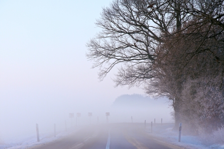 a winter landscape on a december morningの写真素材