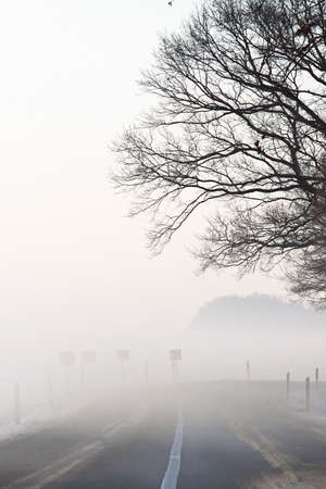 a winter landscape on a december morningの写真素材