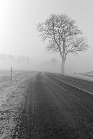 a winter landscape on a december morningの写真素材