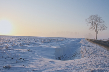 a winter landscape on a december morningの写真素材