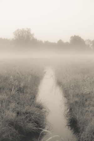 a lake on a foggy autumn morningの写真素材