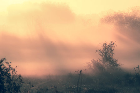 a landscape on a foggy autumn dayの写真素材