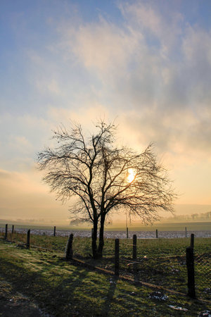 a landscape on a foggy autumn dayの写真素材