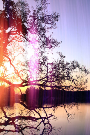 crazy light show meets photography of landscapeの写真素材