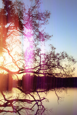 crazy light show meets photography of landscapeの写真素材