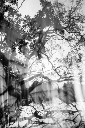 crazy light show meets photography of landscapeの写真素材