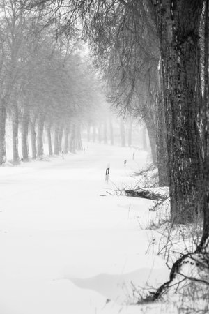 a stormy winder landscape in the morningの写真素材