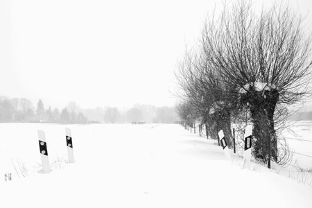 a stormy winder landscape in the morningの写真素材