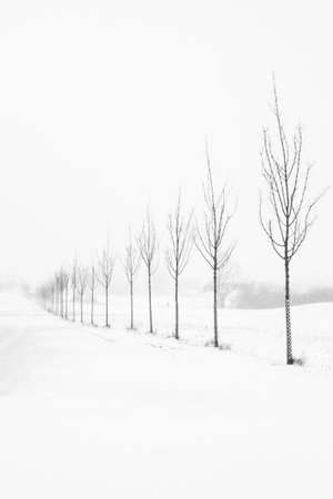 a stormy winder landscape in the morningの写真素材