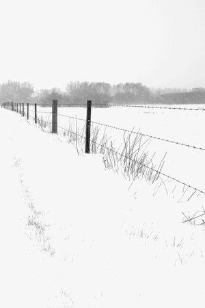 a stormy winder landscape in the morningの写真素材