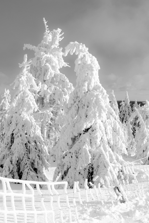 wonderful winder landscape in the mountainの写真素材