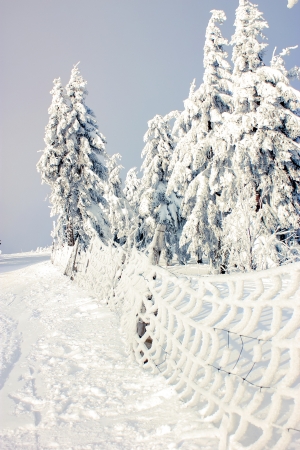 wonderful winder landscape in the mountainの写真素材