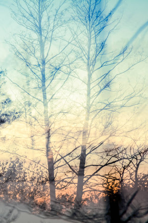 crazy light show meets photography of landscapeの写真素材
