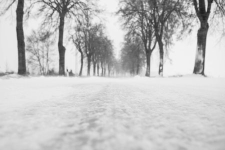 a stormy winder landscape in the morningの写真素材