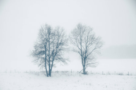 a stormy winder landscape in the morningの写真素材
