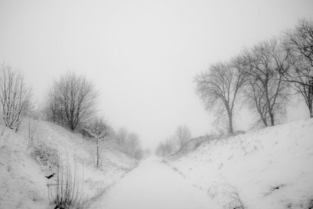 a stormy winder landscape in the morningの写真素材