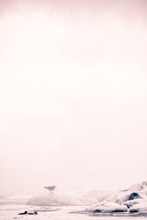 the beach of a island on a winter morningの写真素材