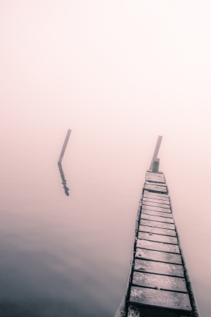 a foggy landscape on a november morningの写真素材
