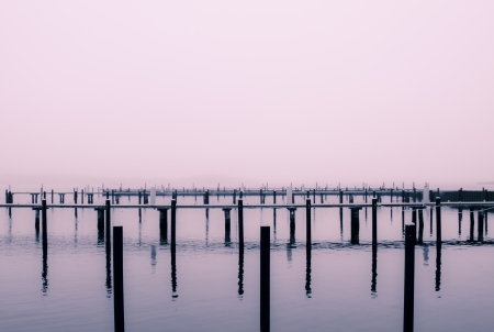 a foggy water landscape on a november morning