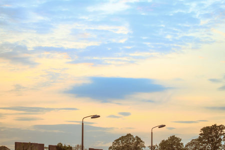 summer field in the morningの写真素材