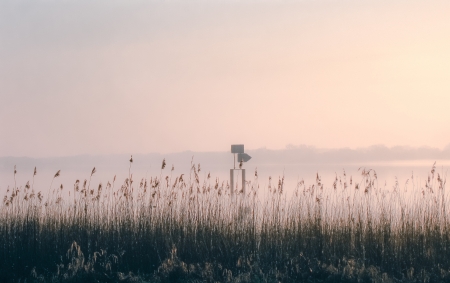 lake bank on a autumn morningの写真素材