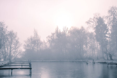 a lake bank on a sunny december  morningの写真素材
